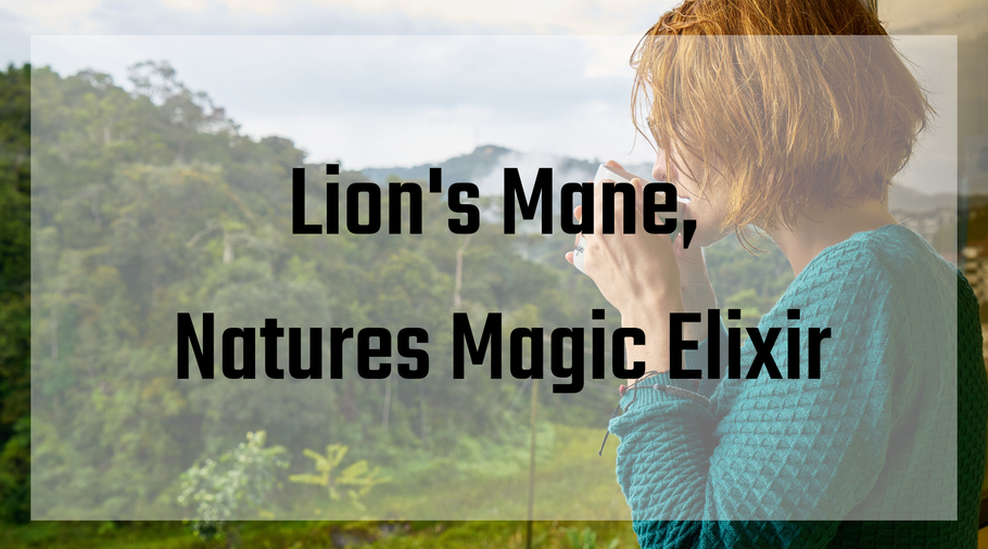 Lion's Mane, Nature's Magic Elixir