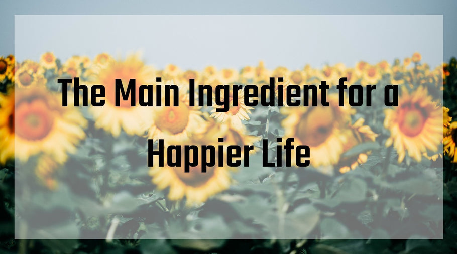 The Main Ingredient for a Happier Life