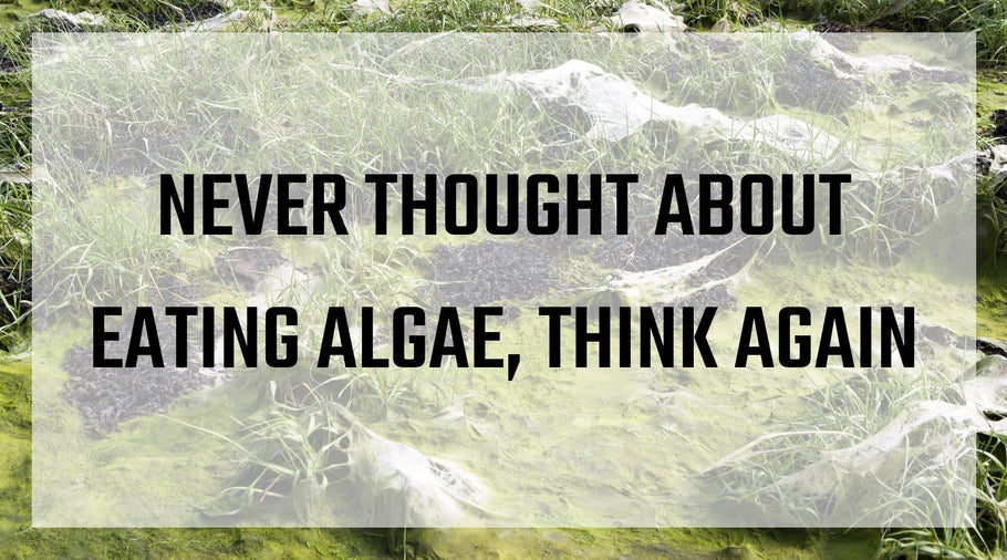 Never Thought About Eating Algae, Think Again